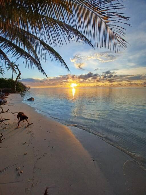 Bungalow Atypique Ti Bambou A 500M De La Plage Sainte-Anne  Luaran gambar